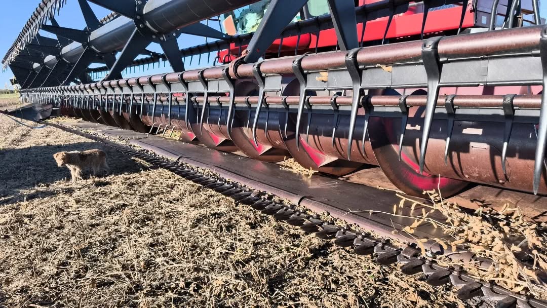 Cosechadora Case IH 2388